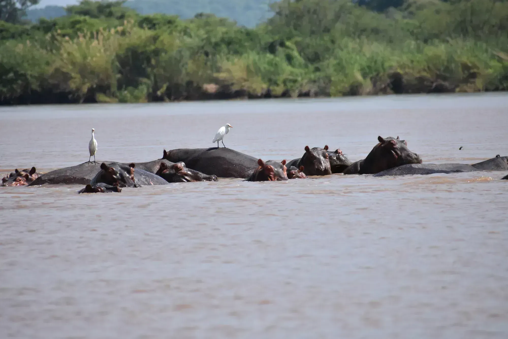 Caprivi Strip — Days 5–7, 3 nights