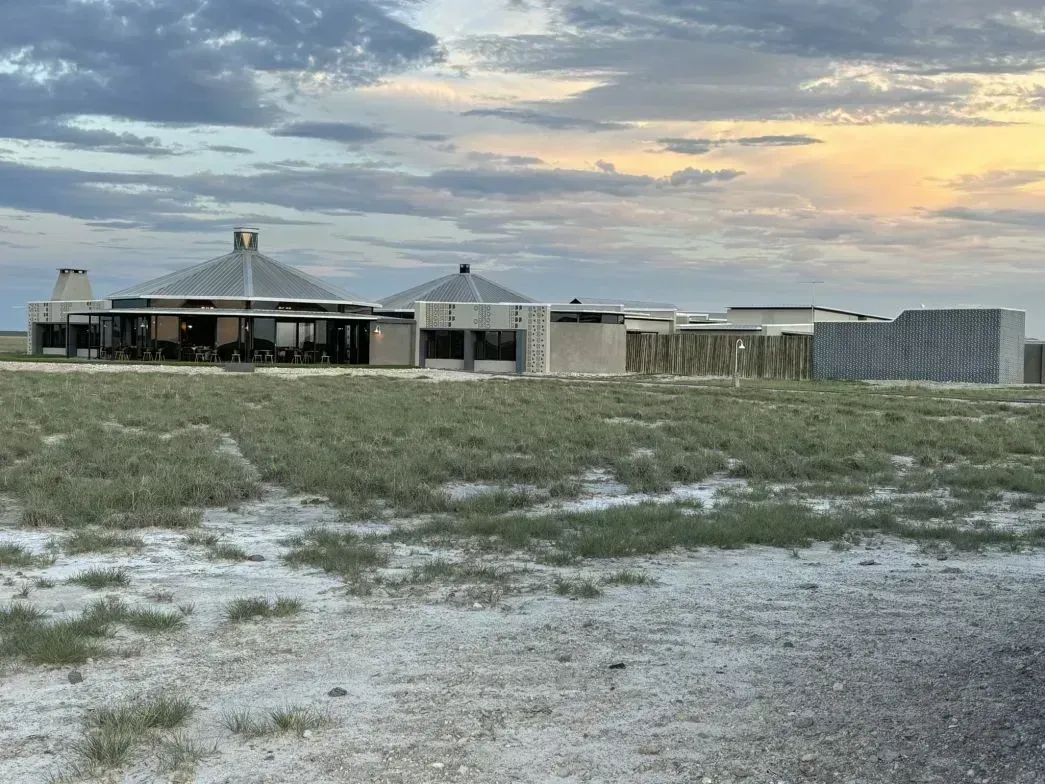 Etosha King Nehale, on the park's quieter northern side — exclusive use of an in-park waterhole hide.