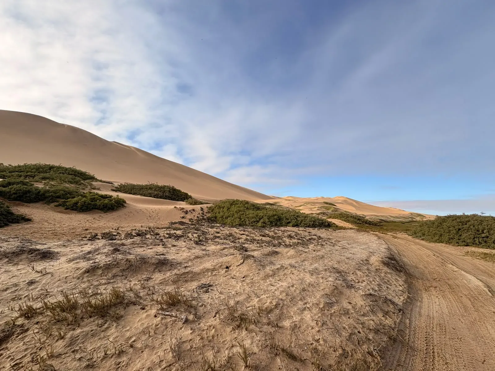 The single-track sand road winding through the Namib dune belt