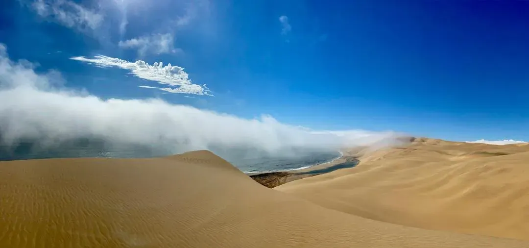 Coastal fog over the dunes at the Afklimbaai viewpoint