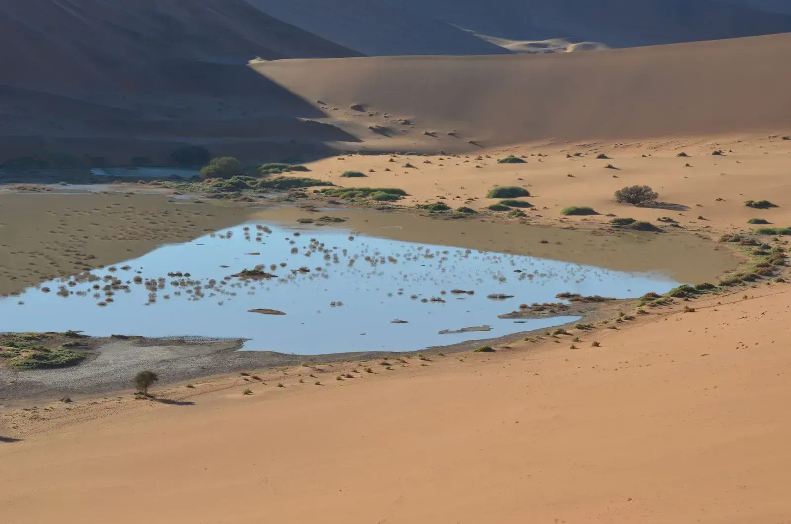 A rare desert flood pools at the foot of the dunes