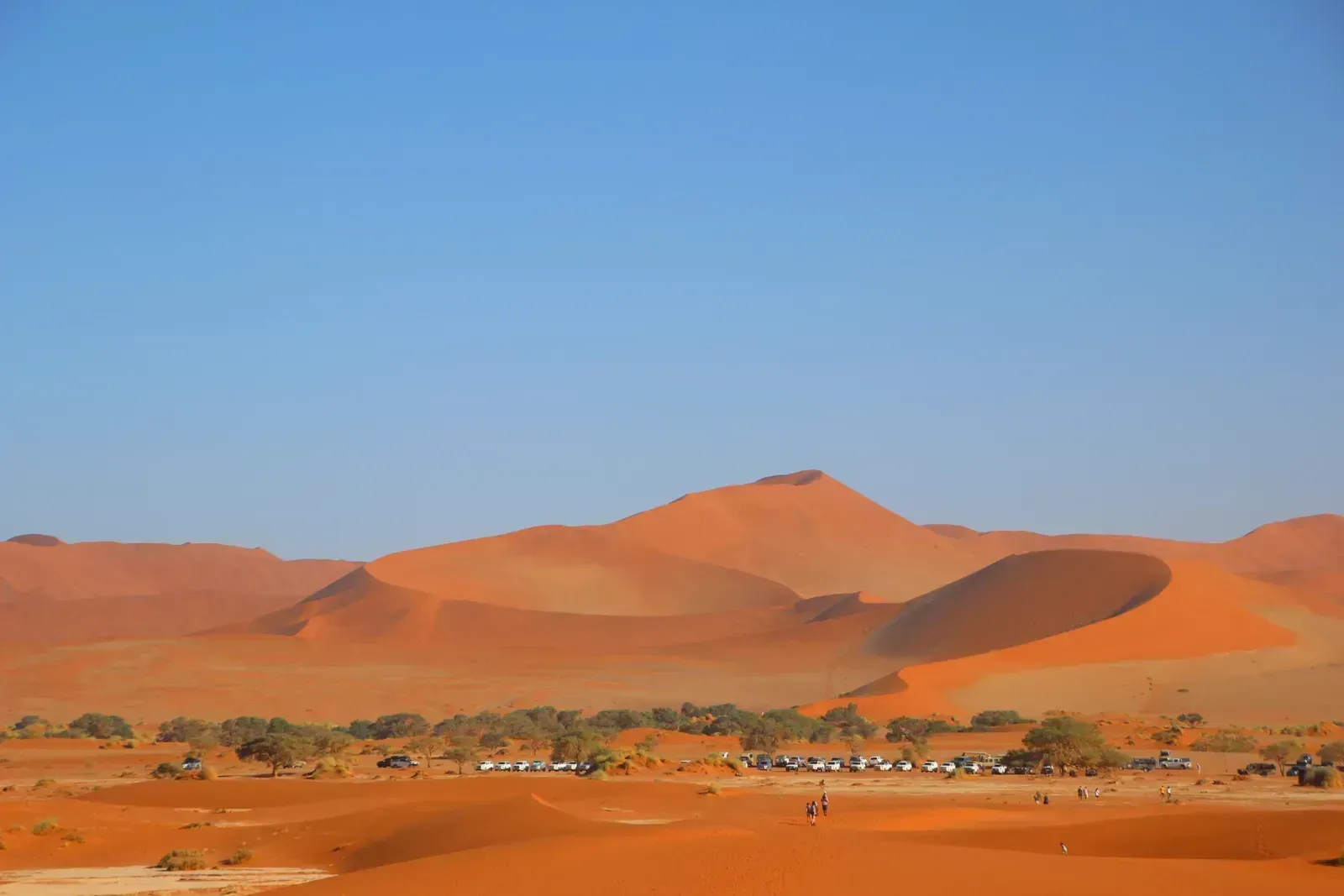 4x4s and tiny walkers reveal the true scale of the dunes