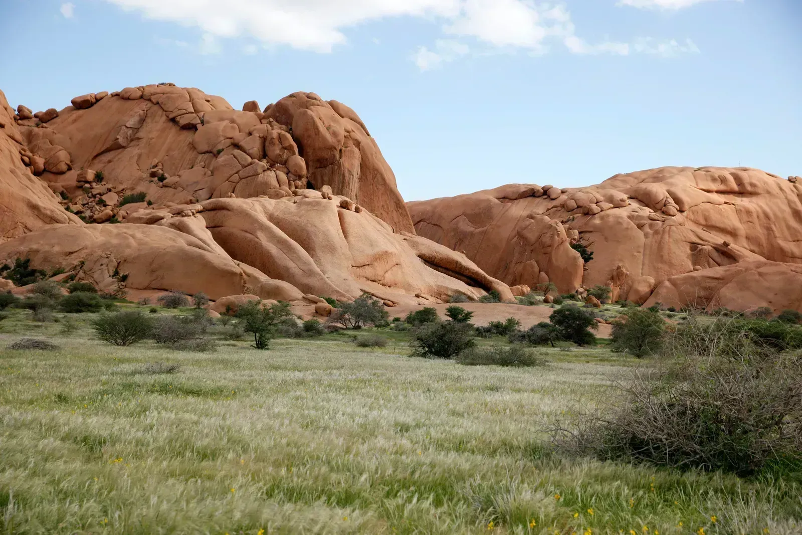 Granite domes rise straight off green-season grasslands